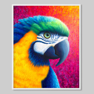 colourful parrot art print by Rachel Froud