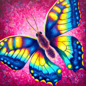 colourful butterfly painting on canvas