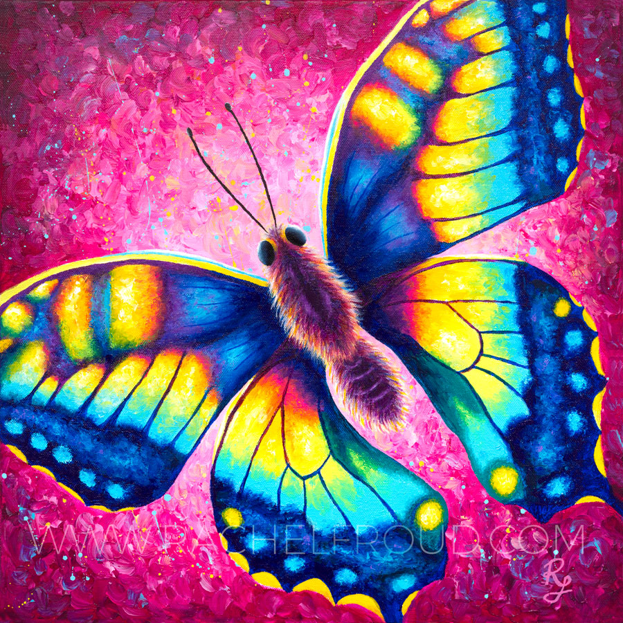 colourful butterfly painting on canvas