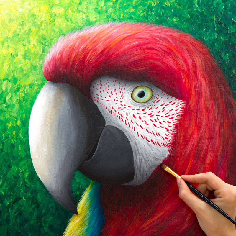 colourful parrot painting by Rachel Froud art