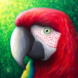 red parrot painting on canvas