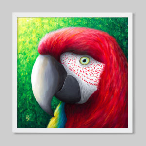 Red parrot art print rachel froud