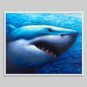 Blue shark art print by Rachel Froud
