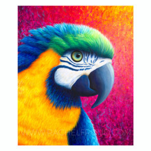 colourful parrot macaw original painting