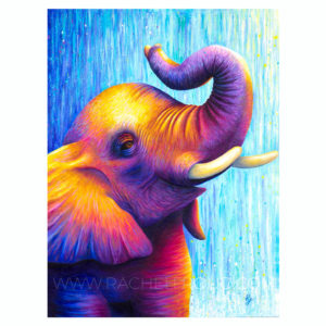 colourful elephant painting by Rachel Froud artist