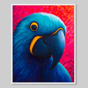 hyacinth macaw art print