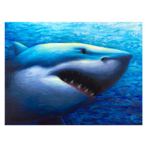 GREAT WHITE SHARK