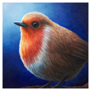Robin 20"x 20"