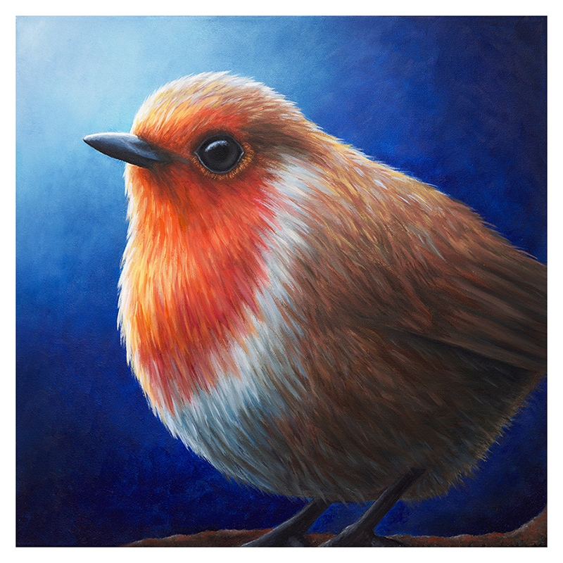 Robin 20"x 20"