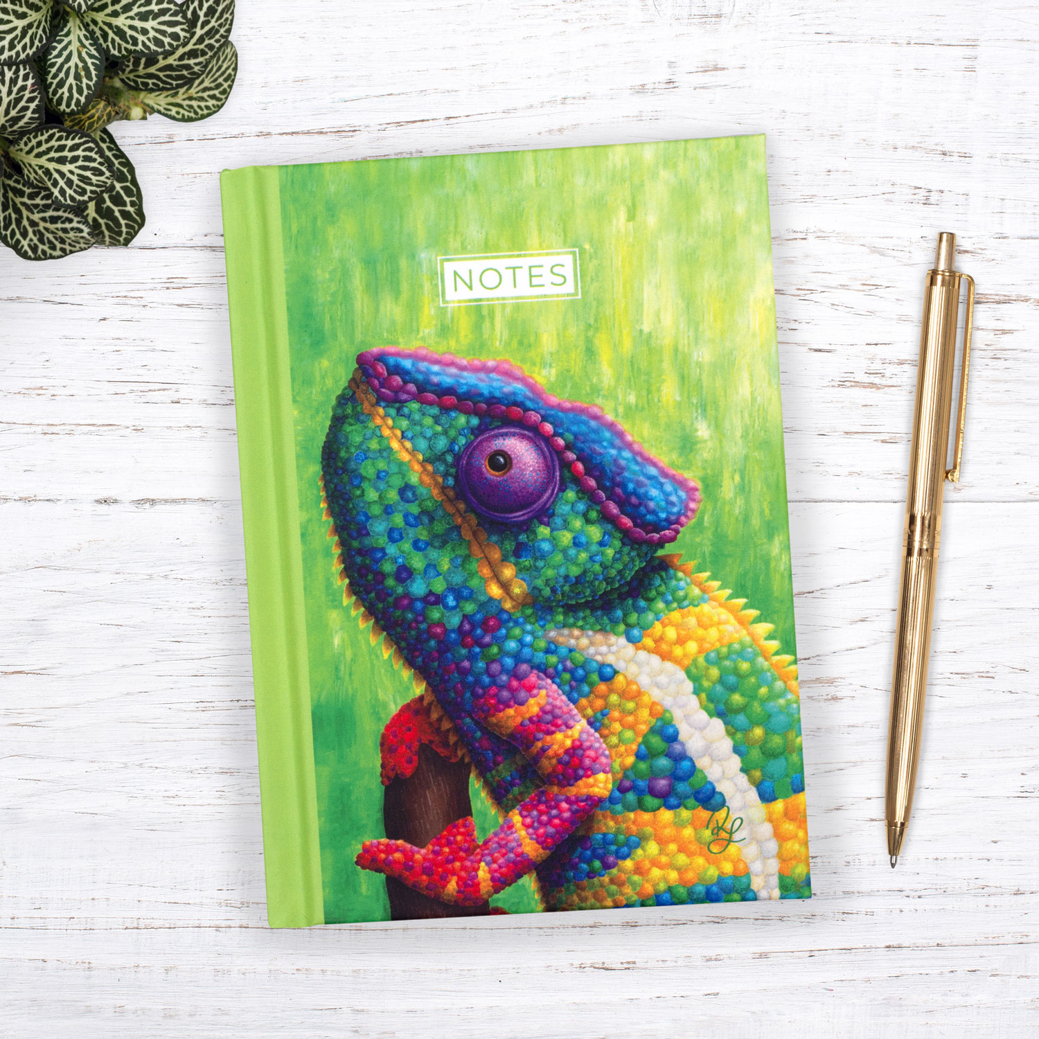 Colourful chameleon a6 notebook